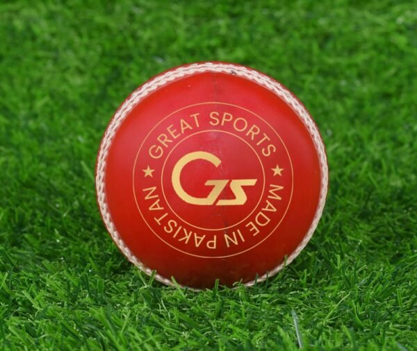 Red Cricket Leather Ball
