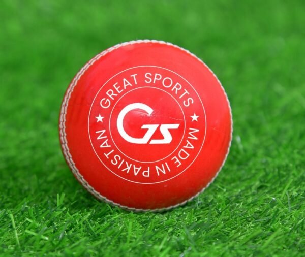 Red Cricket Leather Ball