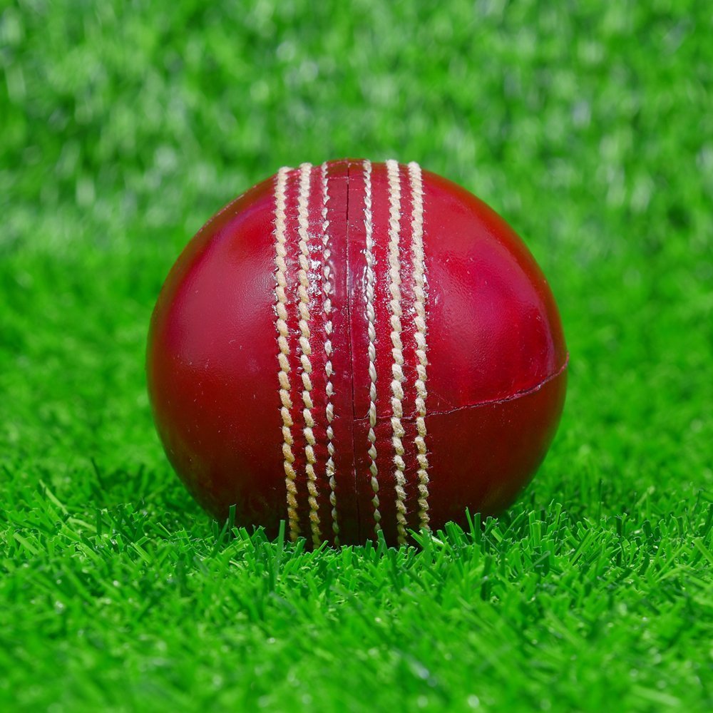 Red Waxed Cricket Leather Ball - Image 2