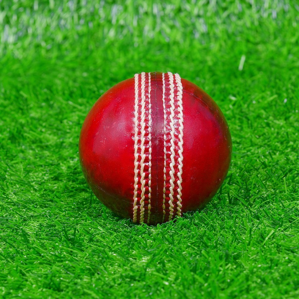 Red Waxed Cricket Leather Ball - Image 2