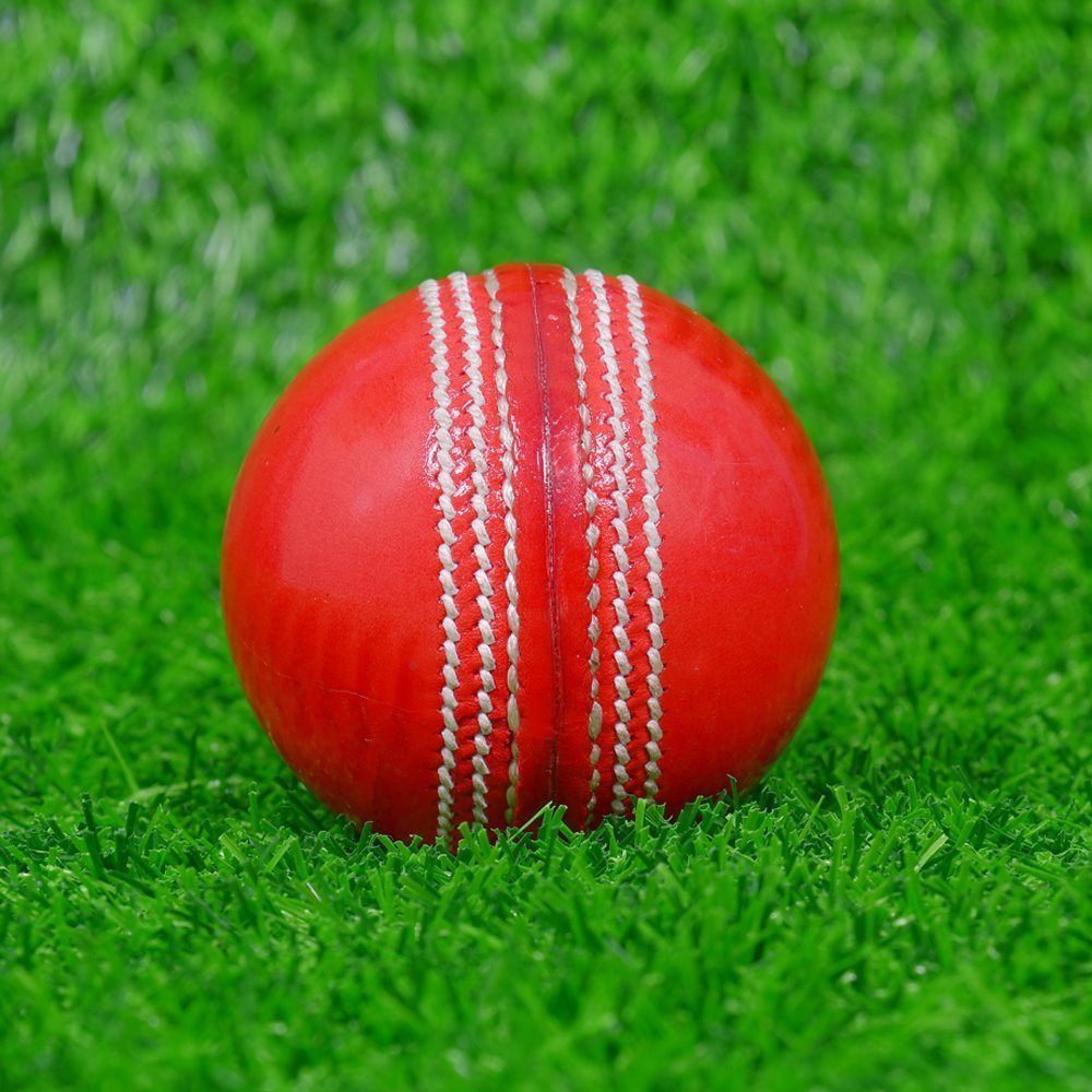 Red Cricket Leather Ball - Image 2