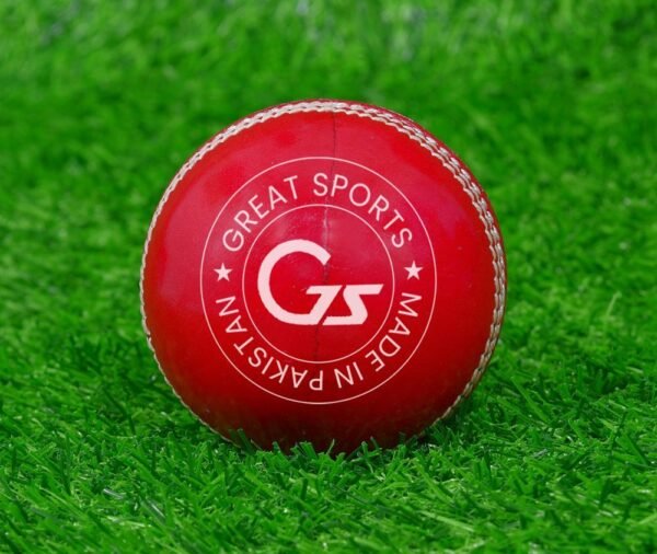 Red Cricket Leather Ball