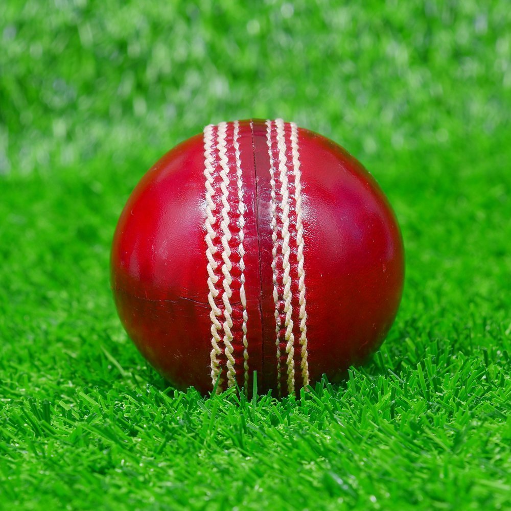 Red Waxed Cricket Leather Ball - Image 2